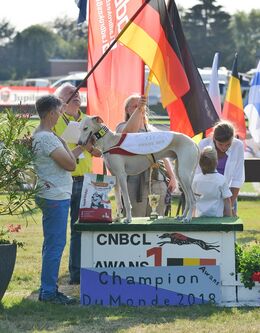 Roswitha Grosse - World Racing Champoin 2018 Roswitha Grosse - World Racing Champoin 2018